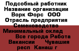 Подсобный работник › Название организации ­ Ворк Форс, ООО › Отрасль предприятия ­ Семеноводство › Минимальный оклад ­ 30 000 - Все города Работа » Вакансии   . Чувашия респ.,Канаш г.